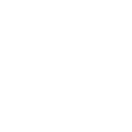 Precession Shaft