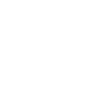 Magnets Icon